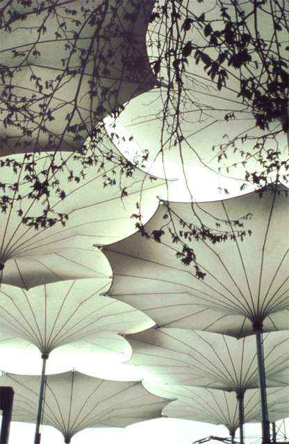 frei-otto-umbrellas-for-pink-floyd-1977-concert-tour