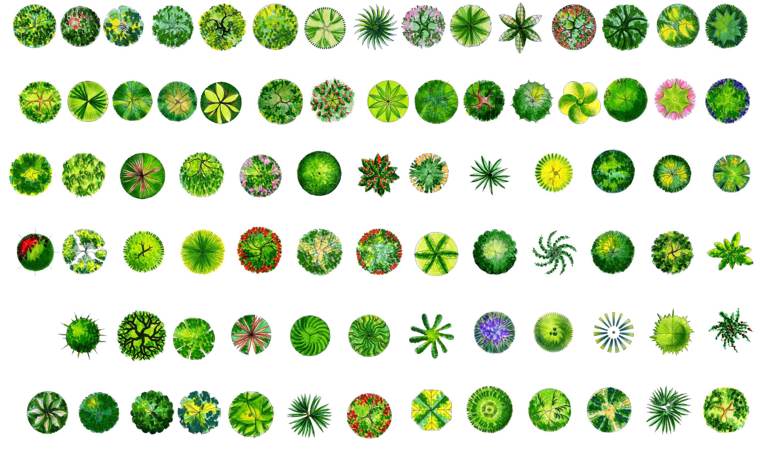 ★【 Tree PSD Landscape Blocks 】Tree 2D Plan PSD Landscape Blocks V1 - Image 2