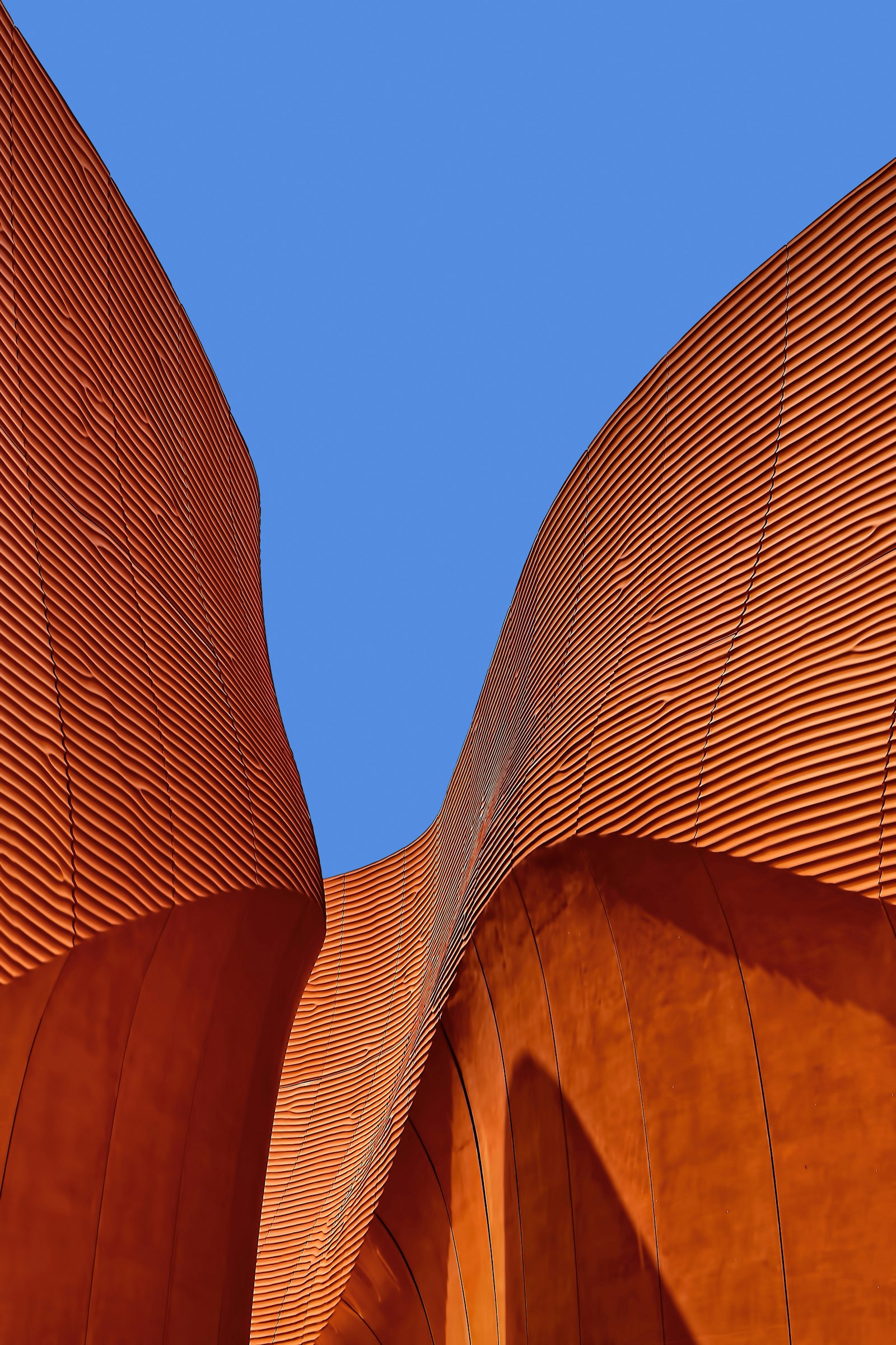 Curved modern architectural ceiling and form
